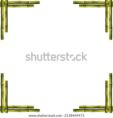 Square empty wooden and green bamboo frame, isolated on white background