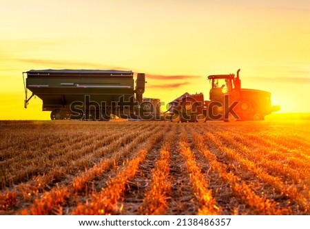 Tractor with the high-capacity auger grain cart on a wheat field. Sunset time.  Great stock photo featuring agriculture equipment. Royalty-Free Stock Photo #2138486357