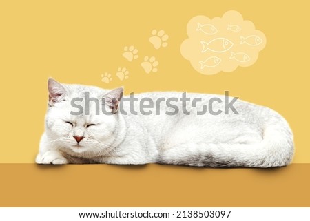 The cat dreams of fish. British cat sleeps on a yellow background.