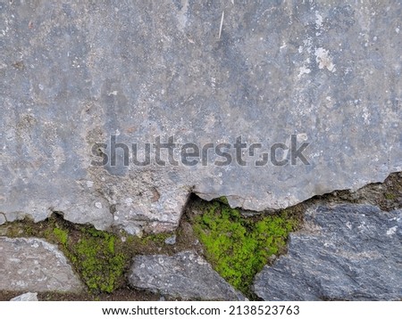 Broken and mossy cement wall for abstract background Royalty-Free Stock Photo #2138523763