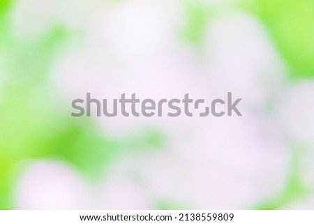 abstract green nature background,abstract blur bokeh background 