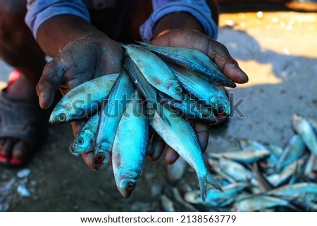 lots of small fish in hand of a young fisherman in nice blur background