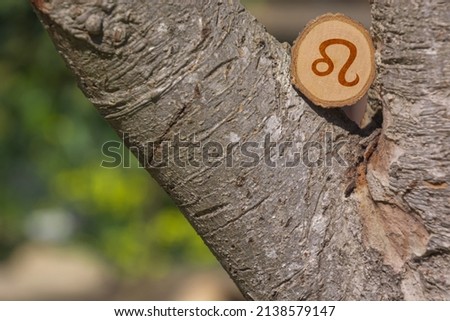 Close-up shot of a piece of wood with a zodiac sign engraved on it, especially the leo sign