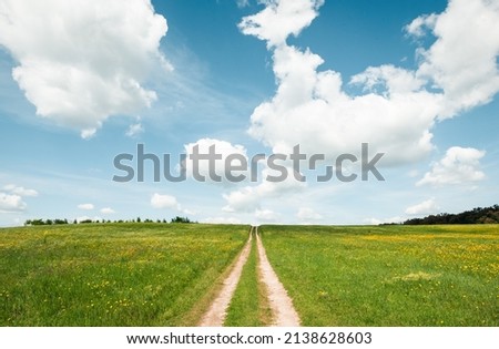 Trail in the green meadow. Vanishing point track in hilly countryside field.