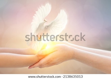 Baby Hand and Mom hand holding White Dove flying on sky and international day of peace 