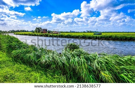 River bank with lush green grass. Summer river grass. River grass on river shore Royalty-Free Stock Photo #2138638577