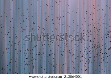 birds flying and abstract sky ,spring background abstract happy background