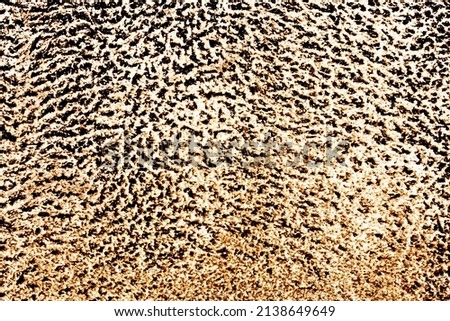 Leopard print background. Animal skin pattern. Abstract jungle texture. African camouflage backdrop.