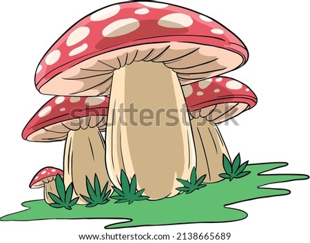 vector illustration of a family of mushrooms