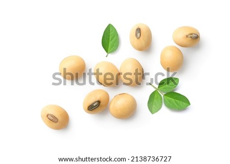 Flat lay of Soybeans  isolated on white background. Royalty-Free Stock Photo #2138736727