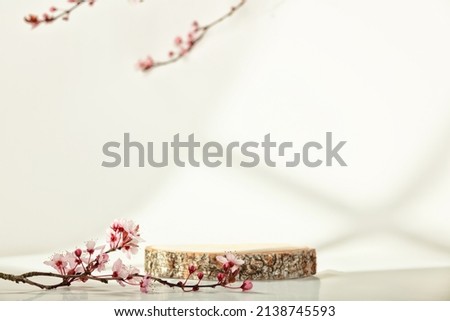 Minimal modern product display on white background. Wood slice podium and spring brunches. Concept scene stage showcase for new product, promotion sale, banner, presentation, cosmetic Royalty-Free Stock Photo #2138745593