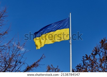National flag of independent Ukraine waving in the wind on the blue sky