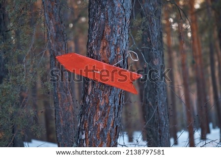 red pointer attached to a tree