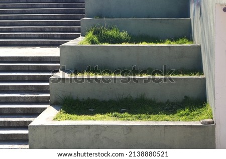 cement stairway with grass planted at different levels of the steps - design for a green, clean and ecological urban garden in the city