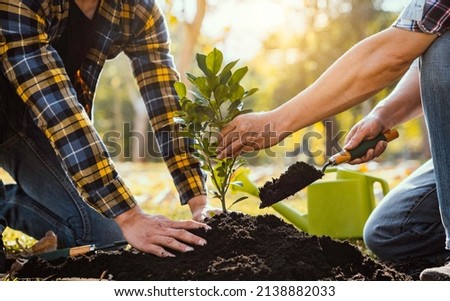 Two men planting a tree concept of world environment day planting forest, nature, and ecology A young man's hands are planting saplings and trees that grow in the soil while working to save the world. Royalty-Free Stock Photo #2138882033
