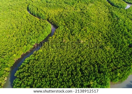 Ecology system green tropical mangrove forest in sea bay aerial view