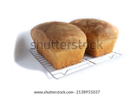 Two Hot Loaves of Homemade Yeast Bread on Cooling Rack Isolated on White