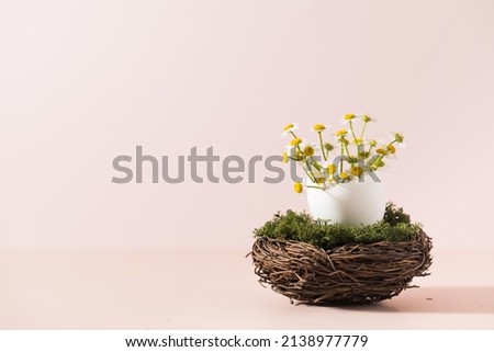 Bouquet of daisies in an eggshell in a nest on a pink background. Copy space. 