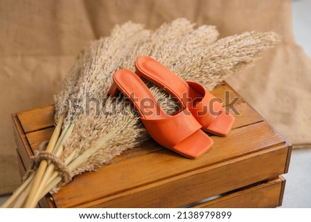 Orange Summer Slippers, summer shoes fashion, holiday sandals  Royalty-Free Stock Photo #2138979899