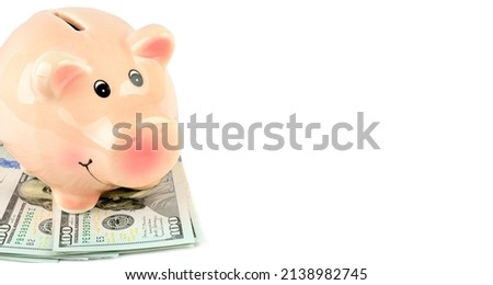 American dollars and piggy bank isolated on white background. Free space for text. Wide photo.