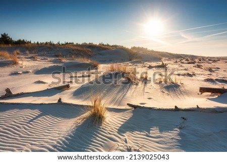 Beautiful scenery of the Baltic Sea beach in Leba. Poland Royalty-Free Stock Photo #2139025043