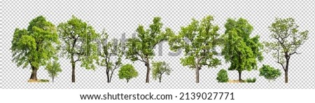 Green trees isolated on transparent background forest and summer foliage for both print and web with cut path Royalty-Free Stock Photo #2139027771