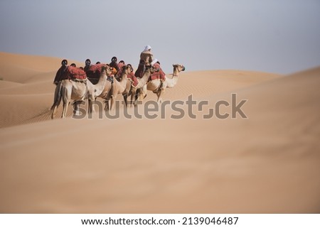 Camels in Rub al Khali Desert or Empty Quarter. Includes 4 Countries Saudi Arabia, Uniterd Arab Emirates, Oman, Yemen. The One Largest Sand Desert in the world. Royalty-Free Stock Photo #2139046487