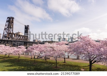 Spring cherry blossoms blooming on waterfront park in downtown Portland Oregon