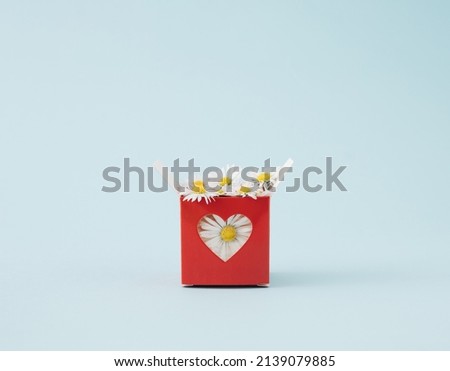 Daisy flowers in red cardboard box with heart-shaped hole on blue background.