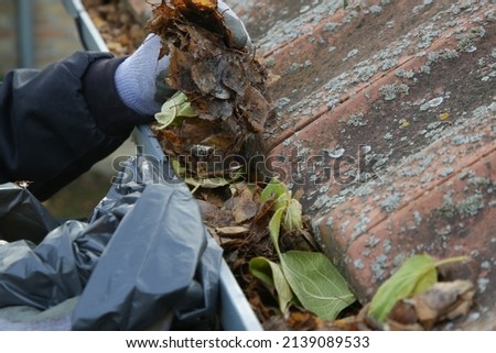 Cleaning the gutter from autumn leaves before winter season. Roof gutter cleaning process.	 Royalty-Free Stock Photo #2139089533