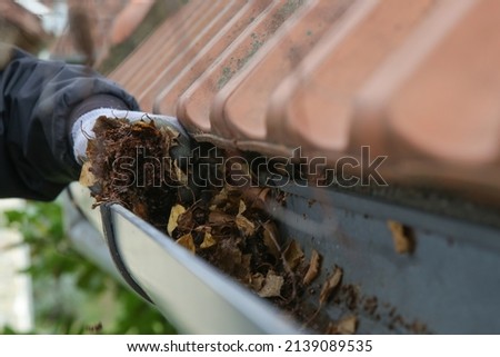 Cleaning the gutter from autumn leaves before winter season. Roof gutter cleaning process.	 Royalty-Free Stock Photo #2139089535