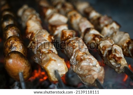Grilled meat on charcoal, pork on skewers, campfire, juicy food, bright picture