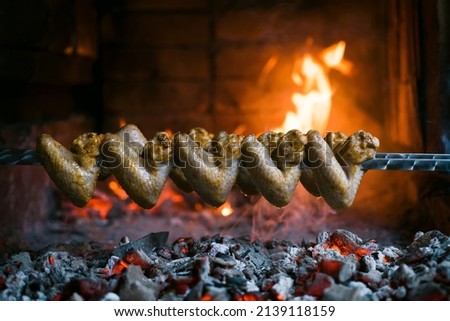 Grilled meat on charcoal, chicken wings on skewers, campfire, juicy food, bright picture