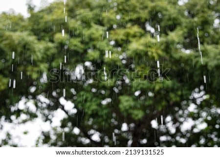 Drizzle rain and raindrop in selective focus and blurred background.