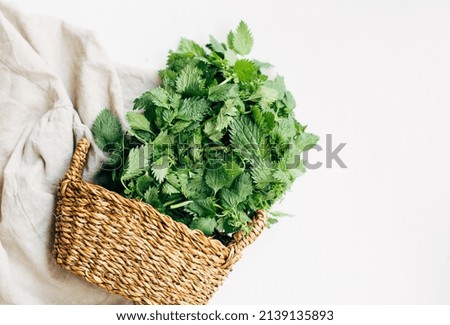 fresh organic nettles in a wicker basket on a white background. Top view. Copy space. Herbal medicine concept. Royalty-Free Stock Photo #2139135893