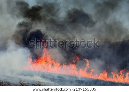 A controlled fire  burn of a prairie, as seen conducted by Forestry in Saint Louis, Missouri, USA.  Managed fires stimulate new grass growth and removes unwanted and invasive species.   