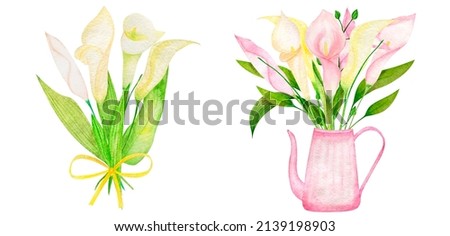 Watercolor set clipart calla lilies leaves hand drawn