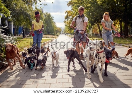 Smiling professional dog walker  in the street with lots of dogs Royalty-Free Stock Photo #2139206927
