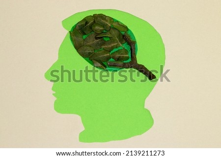 green paper head with wood instead of brain, eco natural background, environmental protection, flat design, creative natural concept