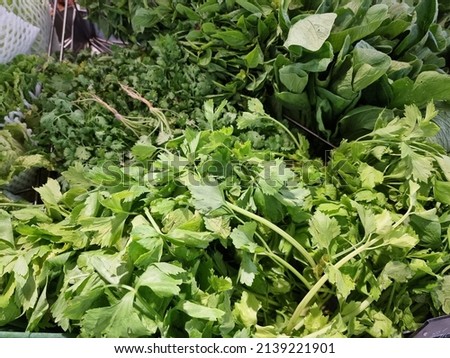 fresh vegetable in the market.
