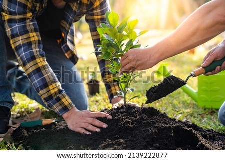 Two men planting a tree concept of world environment day planting forest, nature, and ecology A young man's hands are planting saplings and trees that grow in the soil while working to save the world. Royalty-Free Stock Photo #2139222877