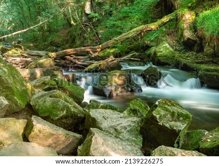 Popular beauty spot in late afternoon,summer sunlight,shining through canopy of lush forest above,illuminating boulders and flowing fresh,clean,river water,on a beautiful,peaceful,warm,sunny day.