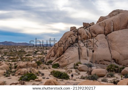 Joshua Tree National Park landscape with huge rock boulders in view for climbing. Clouds in background. 