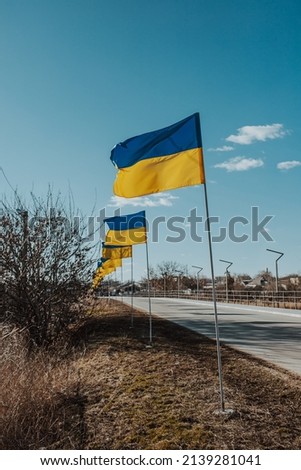 The flag of Ukraine develops against the backdrop of nature that has not yet awakened from winter. Ukraine, freedom, independence.