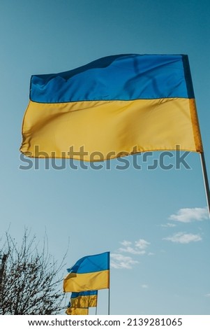 The flags of Ukraine are the national symbol fluttering in the blue sky. Lots of yellow and blue state flags of Ukraine. Independence, freedom, peace, we don't want war