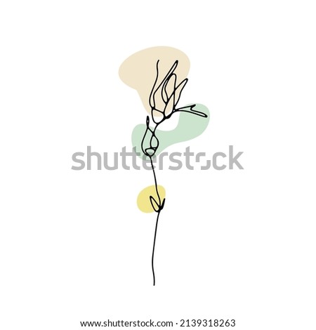 One line drawing rose. Hand drawn single line flower with neutral abstract shapes background