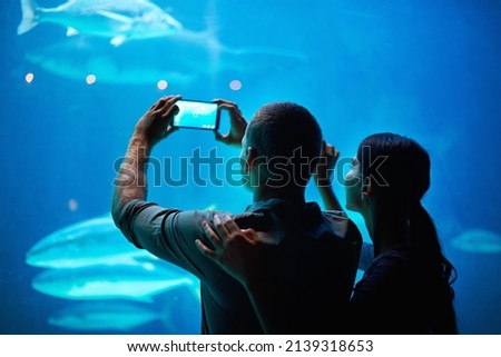 Capture the beauty. Shot of a couple taking a picture of the fish in an aquarium.