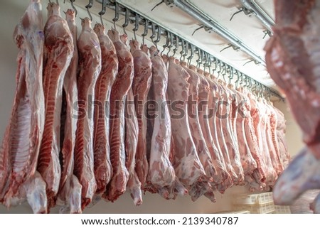 close-up of meat processing in the food industry, the worker cuts raw pig, storage in refrigerator, pork carcasses hanging on hooks in a meat factory Royalty-Free Stock Photo #2139340787