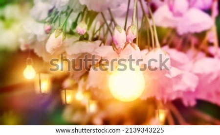 Blurred creative background of beautiful flowers glowing in light, blurred Valentine's background wallpaper image, background for post card, greeting card ,hanged lamps and bulbs ,holyday concept