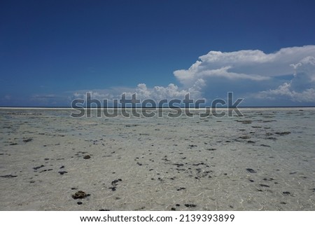Low tide on the west coast of Zanzibar.